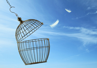 潜在意識・無意識・脳内神経伝達物質のコントロール方法 岩波英知の言葉